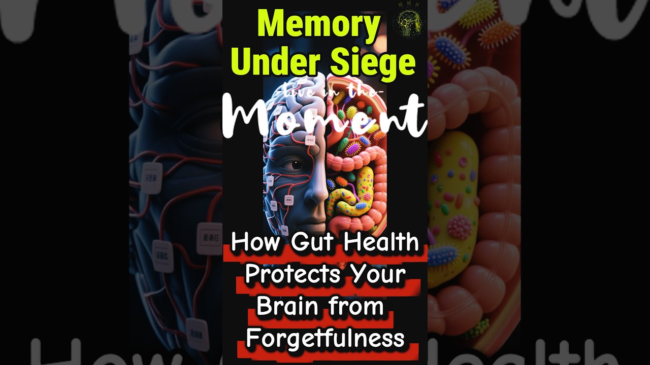83. Memory Under Siege 🧠⚔️  How Gut Health Protects Your Brain from Forgetfulness
