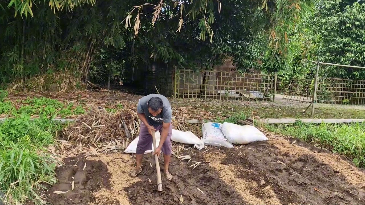 THIS FARMER'S SMART IDEA MAKES IT EASIER TO PREPARE SOIL FOR WATERMELON! -Agriculture Farming