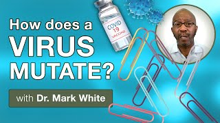 How does a virus mutate? (EXPLAINED)