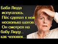 Баба Люда испугалась. Пёс сделал к ней несколько шагов. Он смотрел на бабу Люду... как человек...