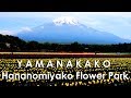 Yamanakako Flower Park, Japan | Mount Fuji, near Lake Yamanaka, Yamanashi