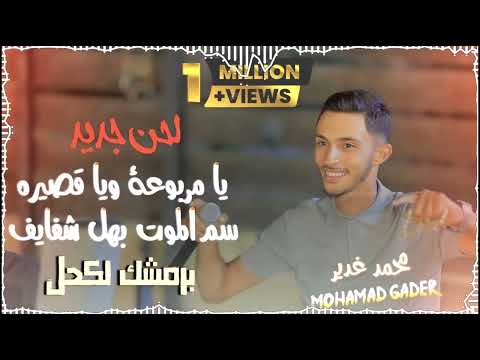 لحن جديد يا مربوعة ويا قصيره سم الموت بهل شفايف برمشك لكحل محمد غدير 2025