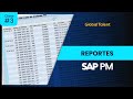 SAP PM - Reportes