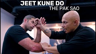 Jeet Kune Do: Mastering The Pak Sao screenshot 2