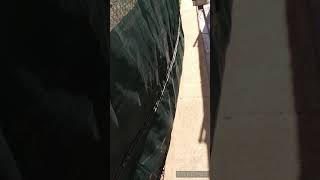 Muskingum County Dog Warden and Adoption Center HD 720p