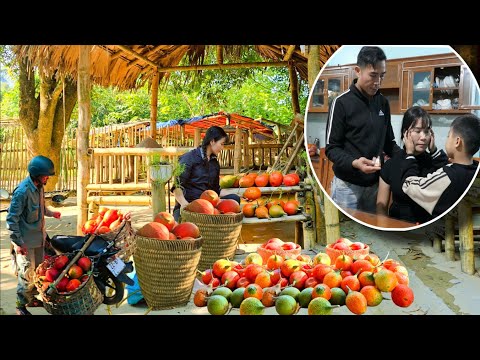 Thuy S Perseverance Harvesting Gac Fruit To Sell Renovating The Livestock Farm Ly Thanh Thuy