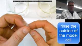 Diffusion Lab - making the model cell (long version)