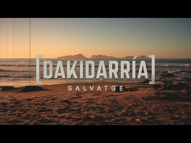 DAKIDARRÍA - Salvatge (Lyric Video) class=