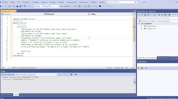 uso de variables con VB .NET