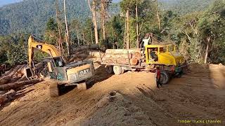 Download Lagu lori balak [ logging trucks santaiwong Perak Malaysia ] isi kayu balak atas lori MP3