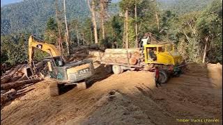 lori balak [ logging trucks santaiwong Perak Malaysia ] isi kayu balak atas lori