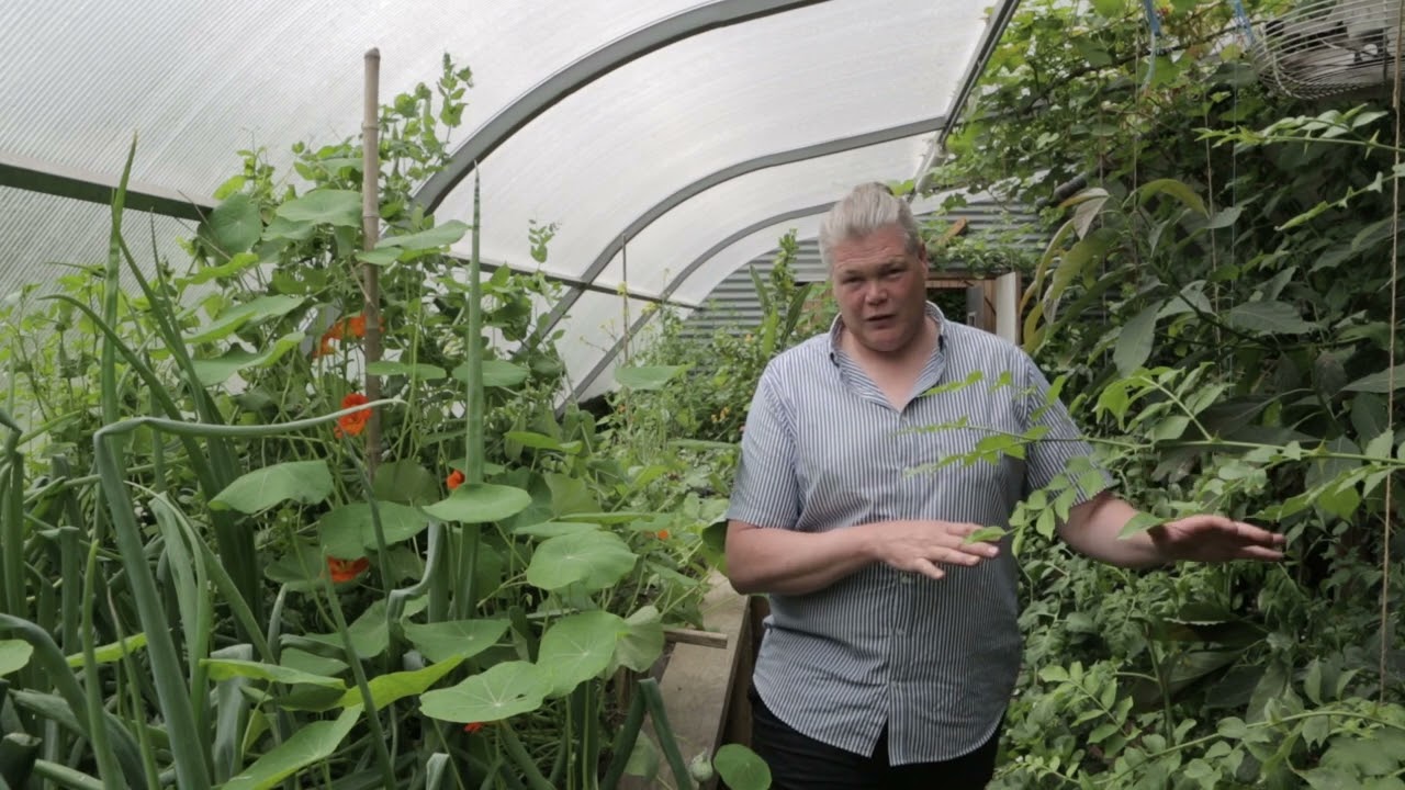 1) Pourquoi une serre semi-enterrée Greenhouse in the Snow Europe!