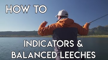 Retrieves When Using Indicators & Balanced Leeches