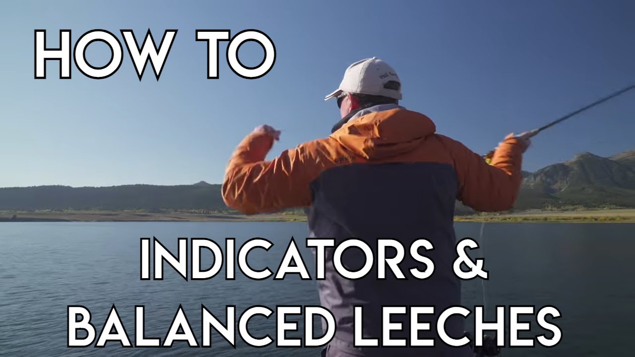 Retrieves When Using Indicators & Balanced Leeches 