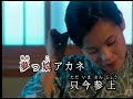 夢っ娘アカネ三度笠   沖田真早美   カバー  英哥