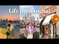 Roof top dining new york bagel xintiandi  disneyland  life in shanghai ep49