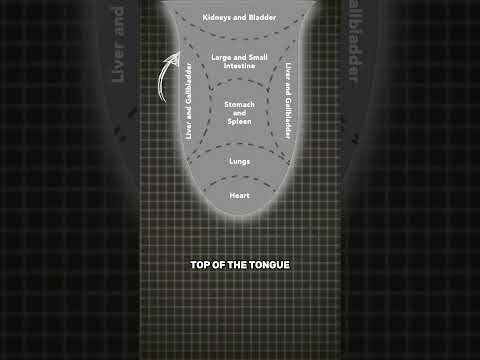 Each area of your tongue tells a different story #tonguediagnosis #tcm #yt #ytshorts