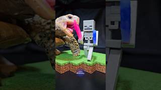 Minecraft ASMR Mukbang Eating Skeleton's Pink Sword 🗡️