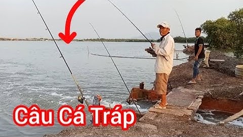 Câu Cá Tráp (Hanh) Bằng Mồi Cá Bống Vào Nước Cá Ăn Mạnh || Câu Đùng Mỹ Xuân