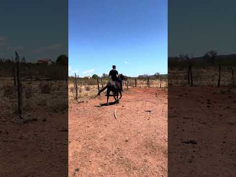 Andando a cavalo
