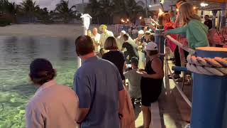 Tarpon Feeding at the Wharf Restaurant Grand Cayman