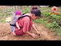 POOR SINGLE MOTHER carries her kid on her back, busy working to earn money to raise her child alone.