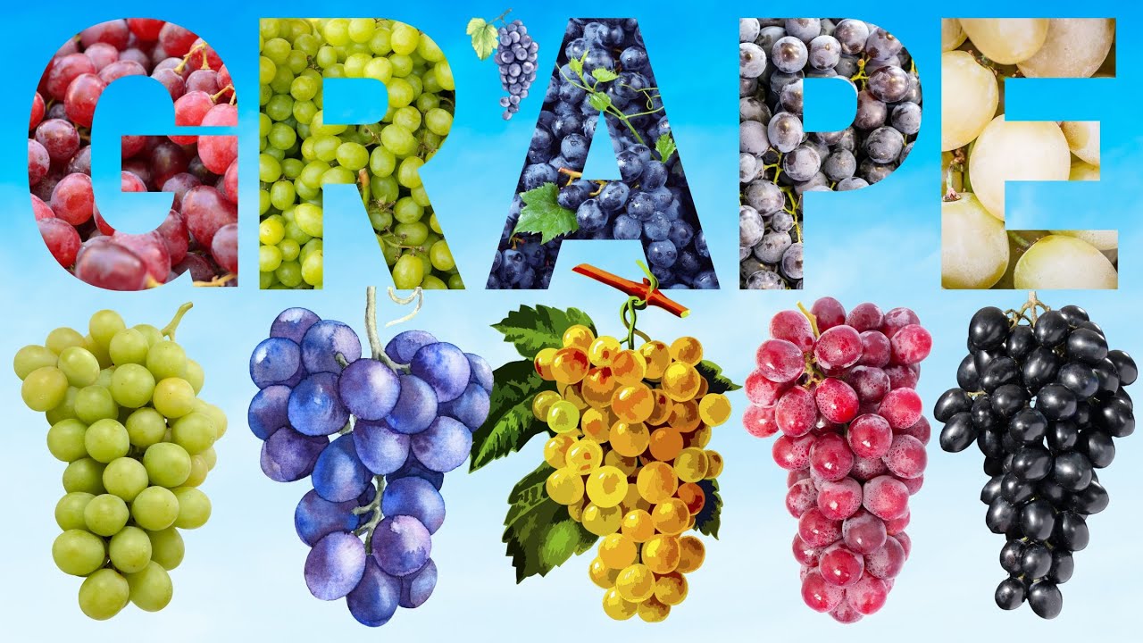 Grapes Exploring The Incredible World of Grapes From Fresh Delight