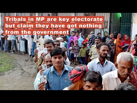 Tribals in MP are key electorate but claim they have got nothing from govt