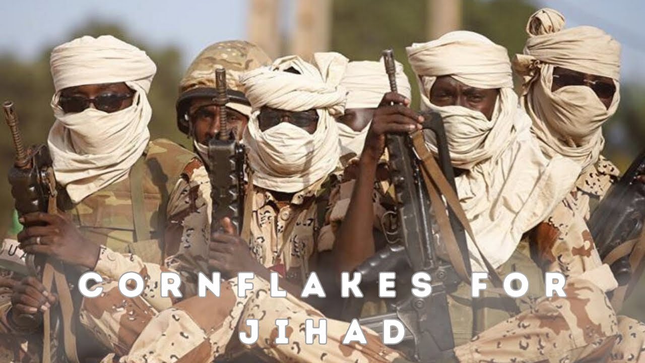 David Hundeyin EXPOSES the ORIGIN of Boko Haram  | #bokoharam #nigerianpolitics #davidhundeyin