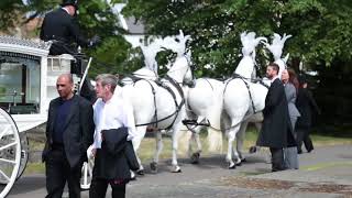 Funeral Horses