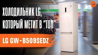 ТОПОВЫЙ холодильник в бежевом цвете от LG  | Обзор GW-B509SEDZ