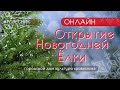 Online Открытие Новогодней ёлки в Узловой.