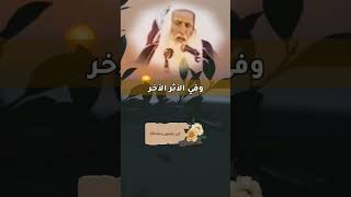 جاء في الأثر | لا تظهر الشماتة بأخيك فيعافيه الله ويبتليك | ابن عثيمين رحمه اللّه تعالى