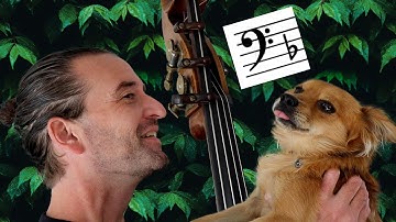 F Major Two Octave Scales for the Double Bass