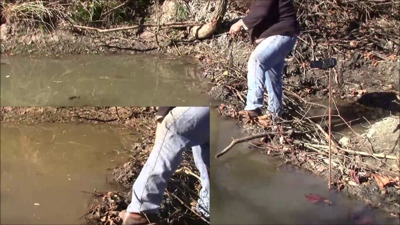 Beaver Trapping with footholds | dam break set | Beaver Bandit Outdoors