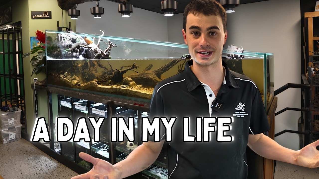 A Day in My Life Running an Aquarium Business