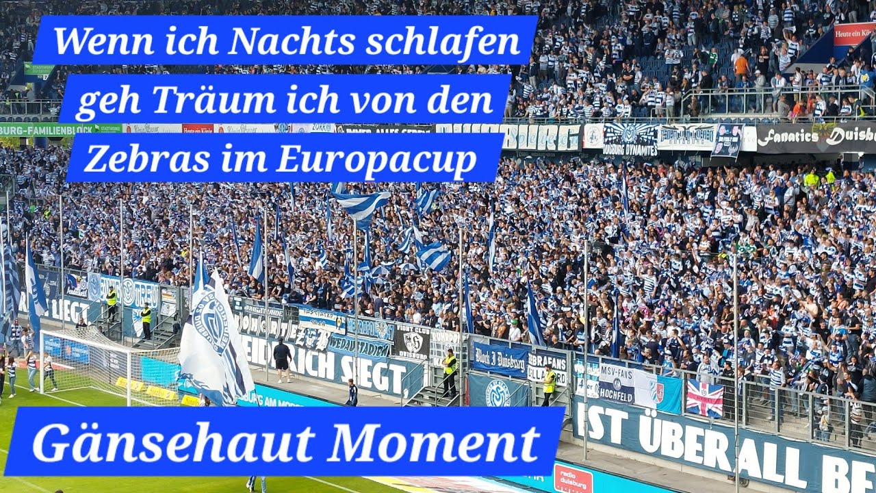 Wenn ich Nachts schlafen geh, Träum ich von den Zebras im Europacup. MSV Fangesang