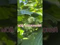 ФУНДУК для случайных зрителей