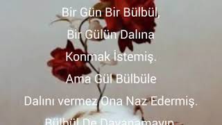 Bülbül İle Gül...