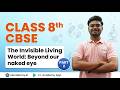 The Invisible Living World: Beyond Our Naked Eye | Class 8 | CBSE | Lecture 2( Hindi ) | Pranay Sir