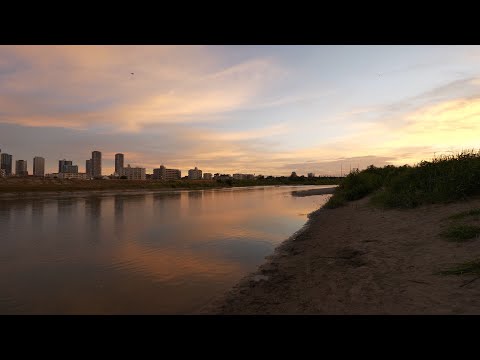 田園調布の街歩き動画