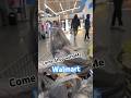 😂 Entertaining shopping vlog #walmart #chicago #shoppingvlog # #funny #vlog #shorts