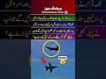 I love PAF🇵🇰🛩#Airforce👮💓#pakarmy #aviation #viral #song #funny #shorts #turkey show#babarazam #love