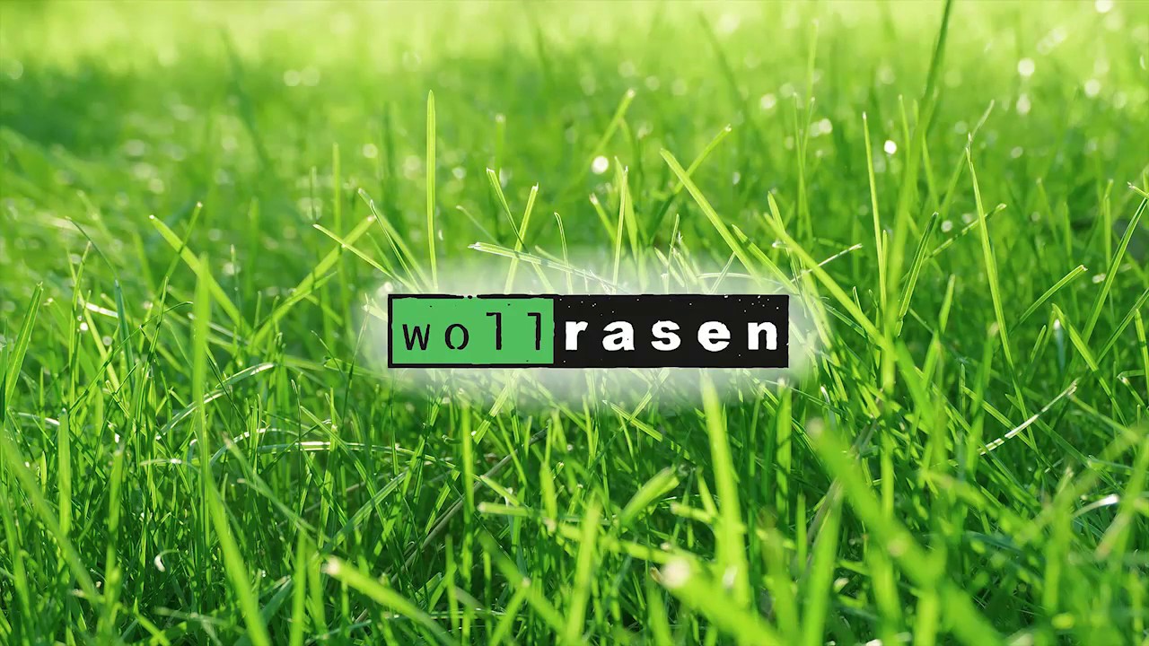 wollrasen - Die Verlegung