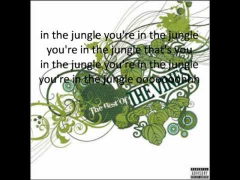 The Vines In The Jungle Lyrics Youtube
