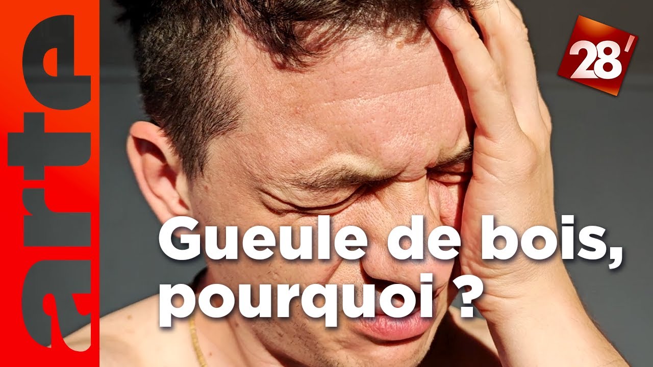 Intéressant : Pourquoi l’alcool fait-il mal à la tête ? | 28 minutes | ARTE