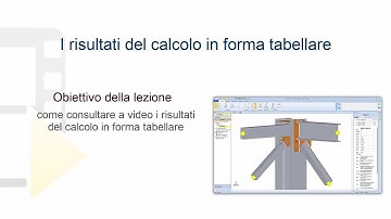 Tutorial NeXus - I Risultati del calcolo in forma tabellare - ACCA software