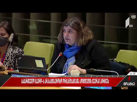 საქართველო გაერო-ს არასამთავრობო ორგანიზაციათა კომიტეტის წევრად აირჩიეს