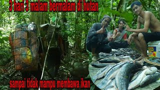 3 HARI 3 MALAM BERMALAM DAN BERBURU KE HUTAN HASIL NYA TIDAK MAMPU DI BAWA PULANG