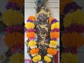 Hare Krishna Hare Krishna Rhadhe Rhadhe #shortvideo